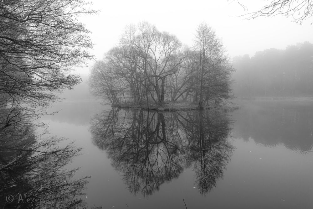 Photograph by Алексей Новиков