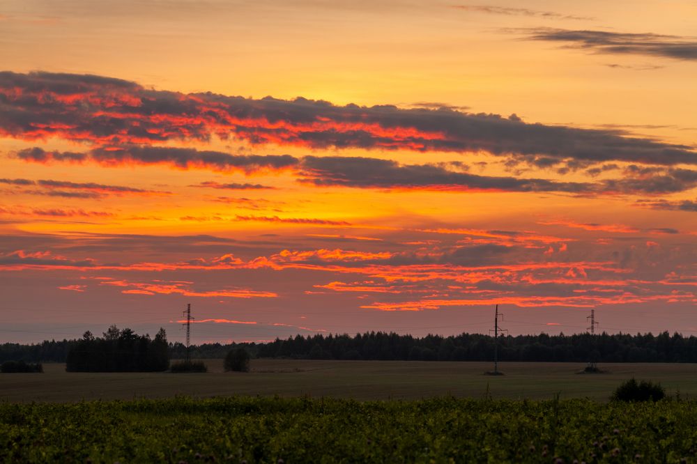 Photograph by Евгений Москвин