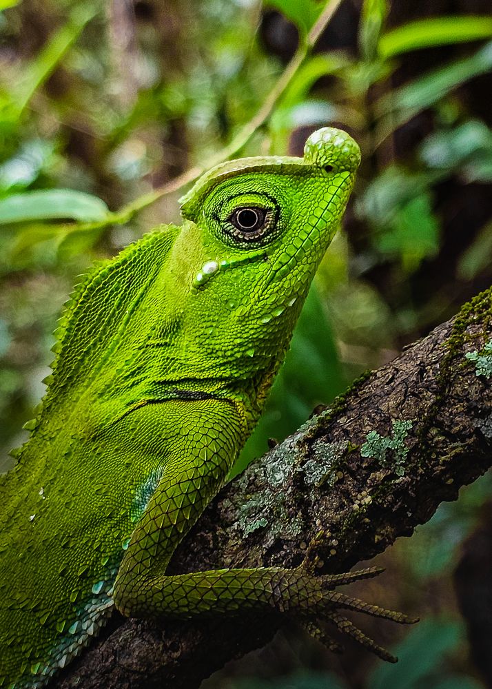 Фотография автора Kaveen Chamoda Manimeldura