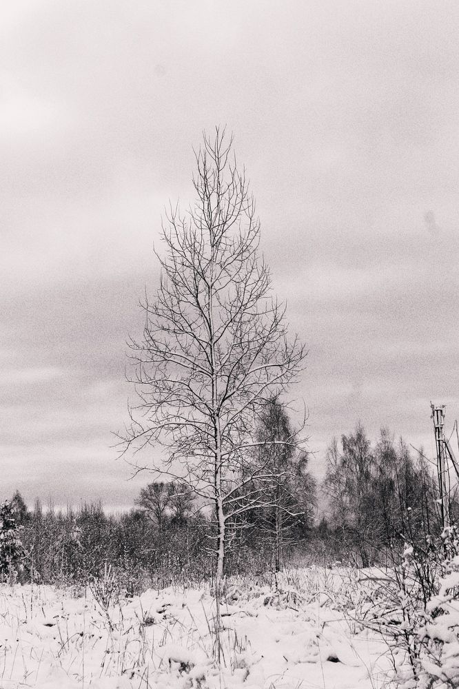 Photograph by Любовь