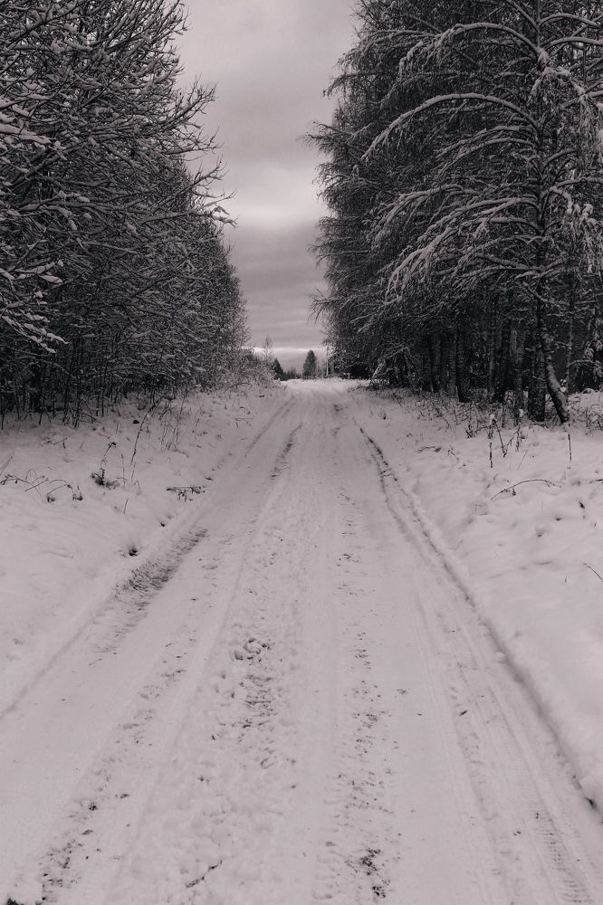 Photograph by Любовь