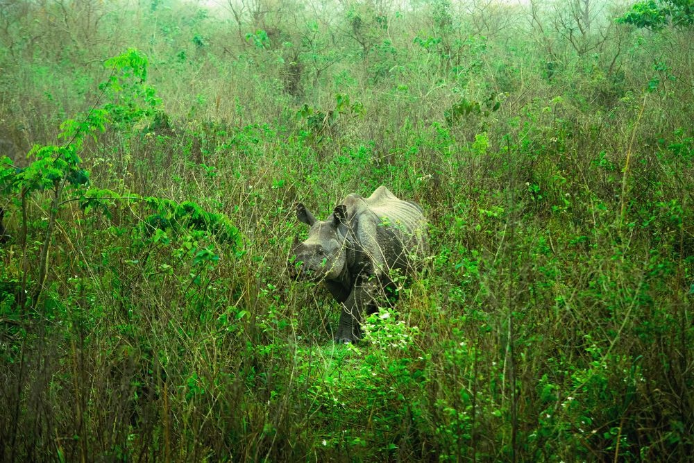 Photograph by Devjit Sarkar