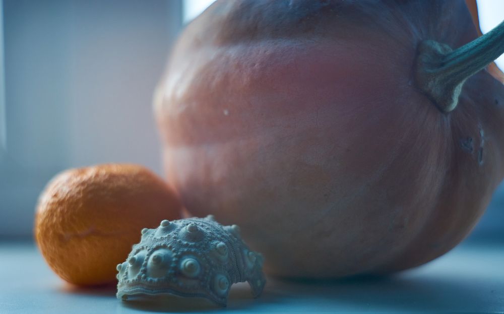 Photograph by Михаил