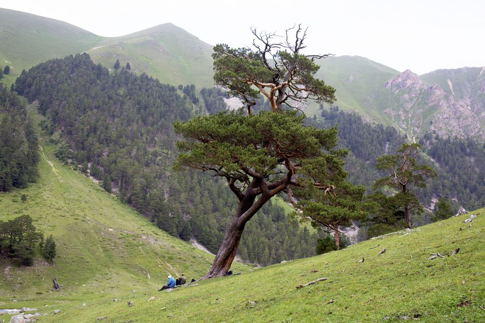 Photograph by Ольга Слотвинская