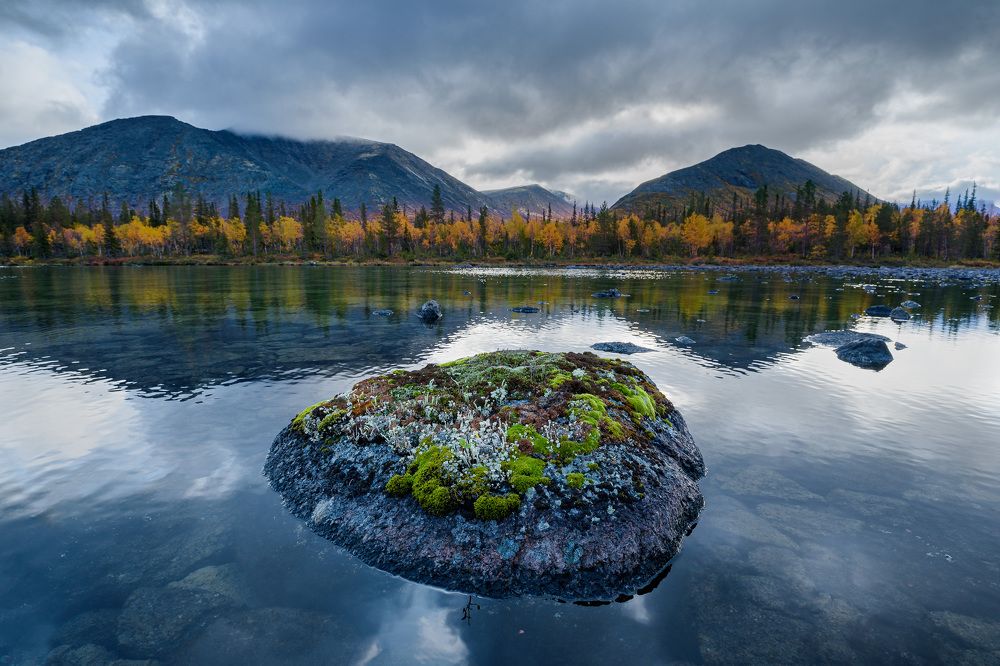 Photograph by Леонид Синев