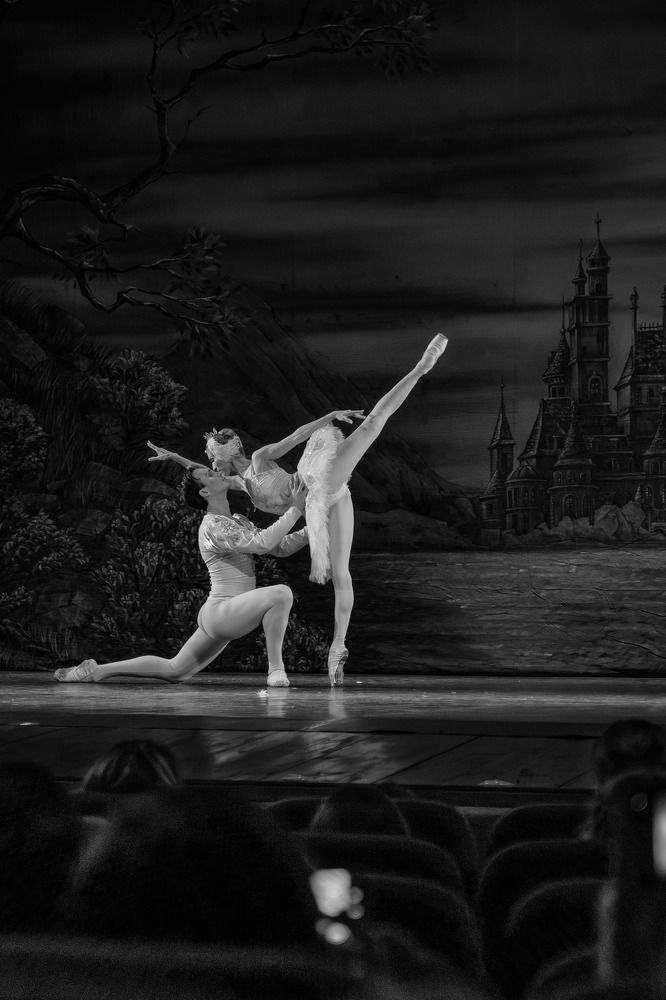 Лебединое озеро