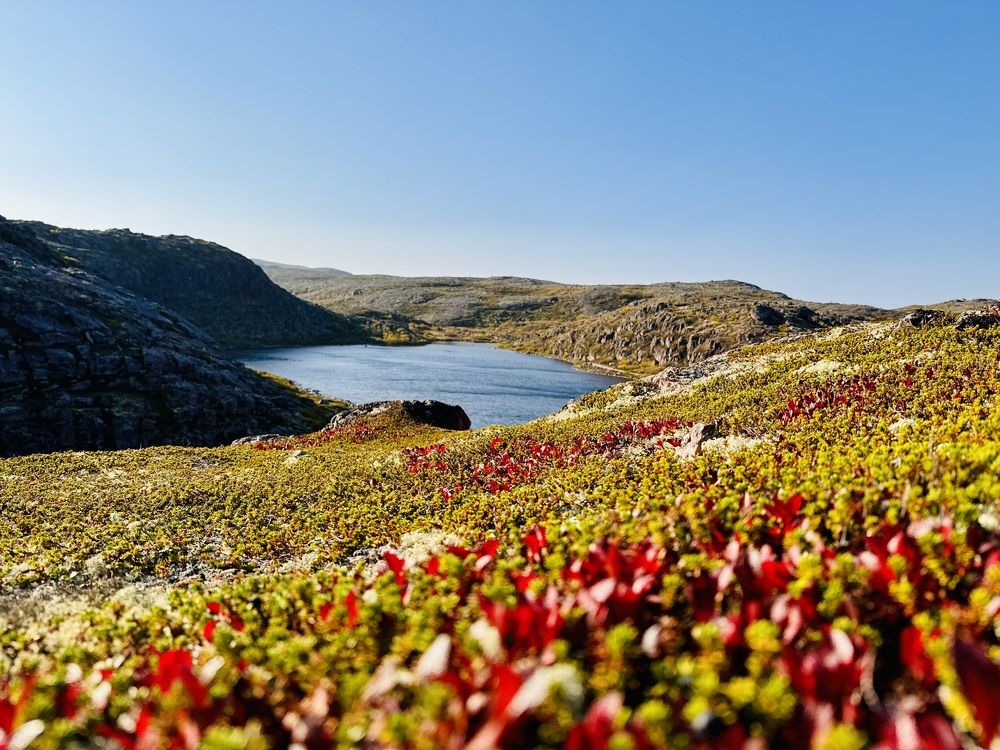 Photograph by Ксения Юртаева