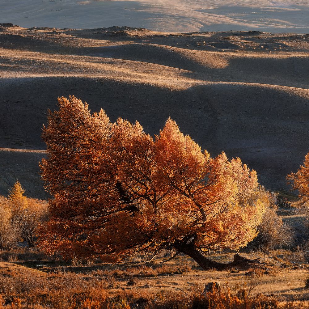 Photograph by Загруев Михаил