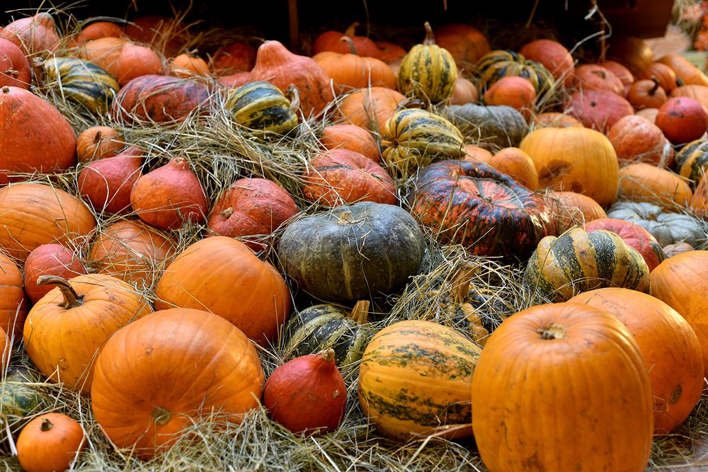 Photograph by Надежда Пухова