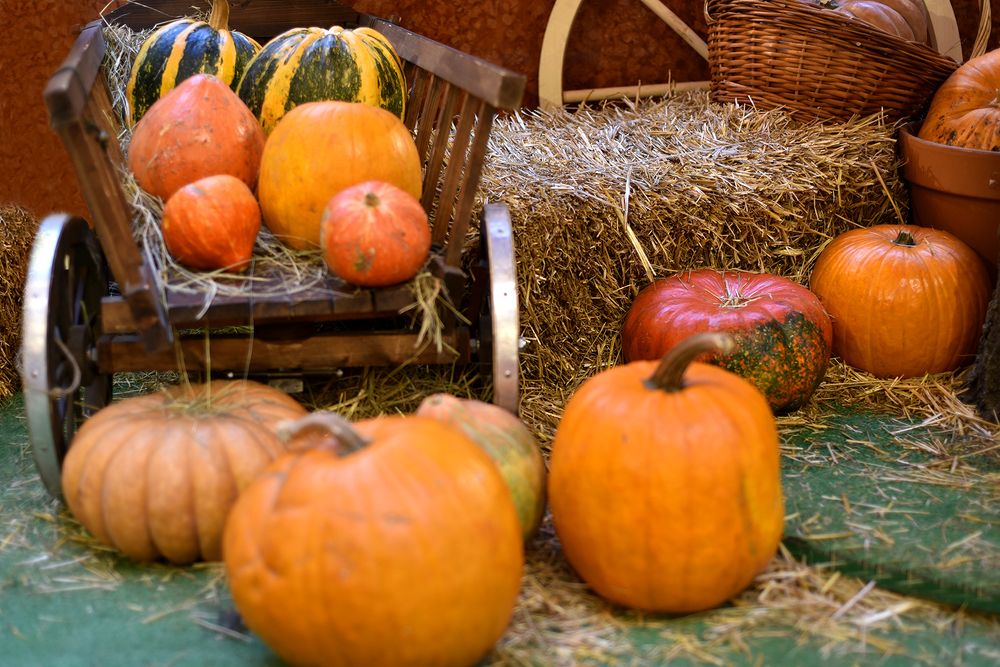 Photograph by Надежда Пухова