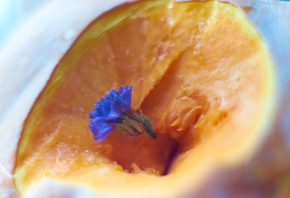 Photograph by Михаил