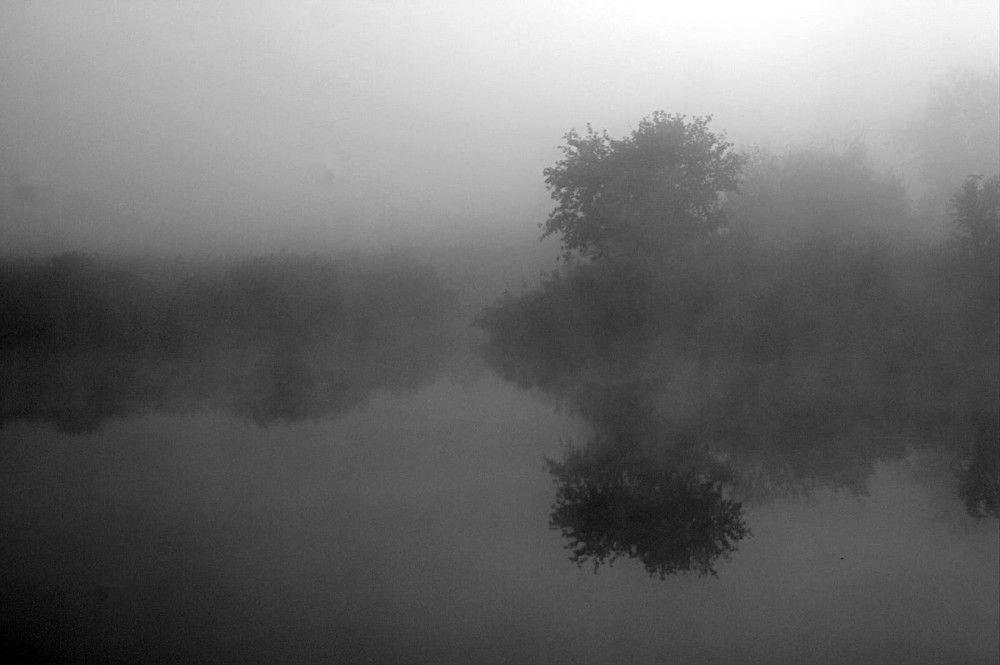 Photograph by Maks315519