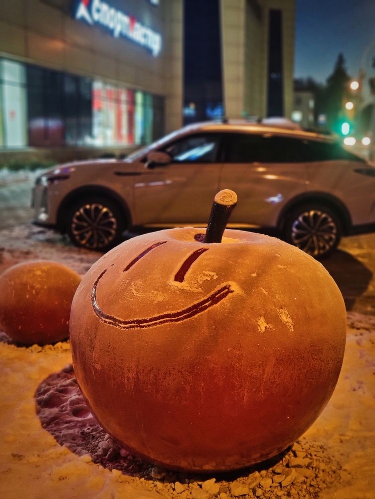 Яблоки на снегу....