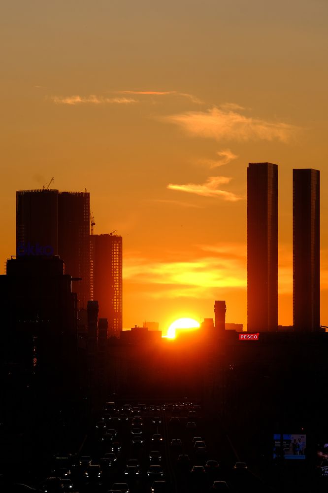Фотография автора Александр Высоцкий
