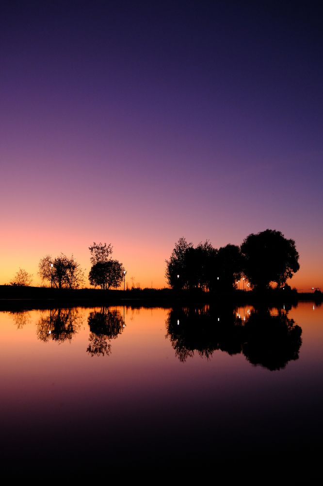 Фотография автора Александр Высоцкий