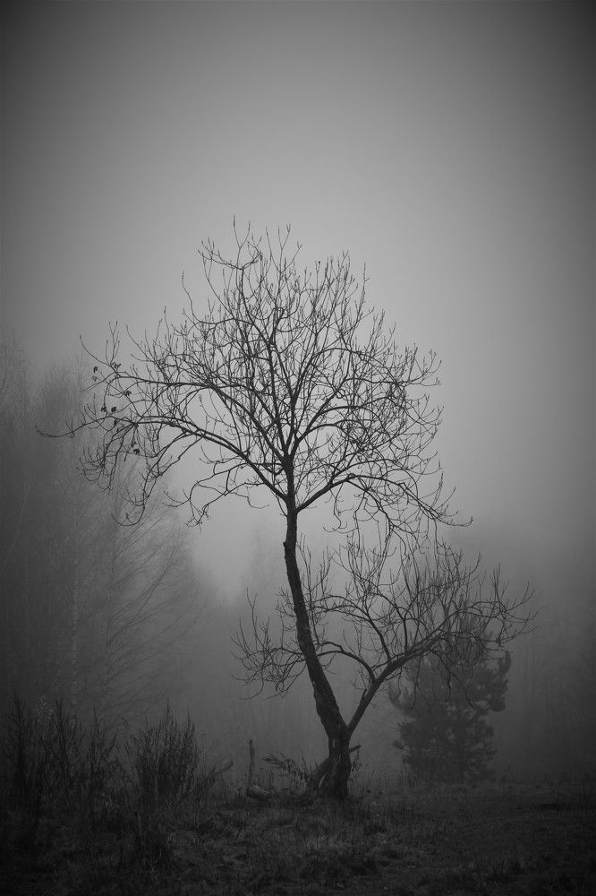 Photograph by Алексей Поликарпов