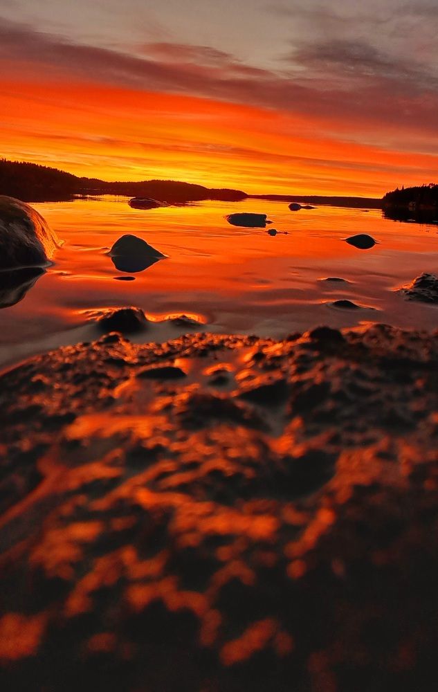 Photograph by Галина Перепечаева