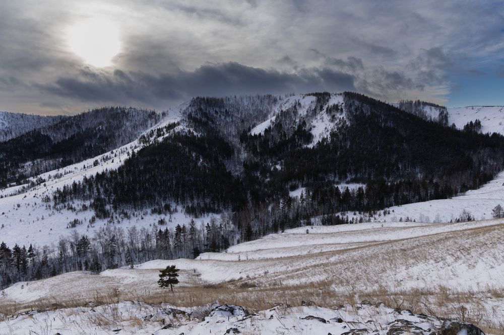 Photograph by Ксения Ясюченя