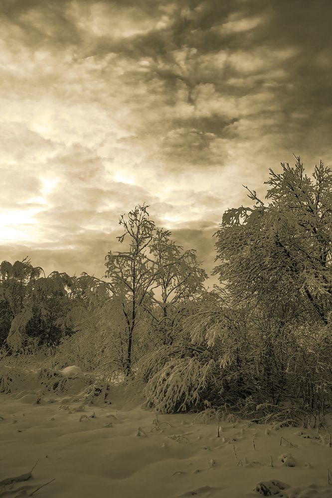 Photograph by Бурикова Екатерина