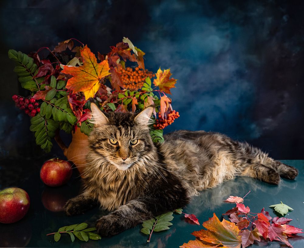 Photograph by NADEZHDA PELYMSKAIA