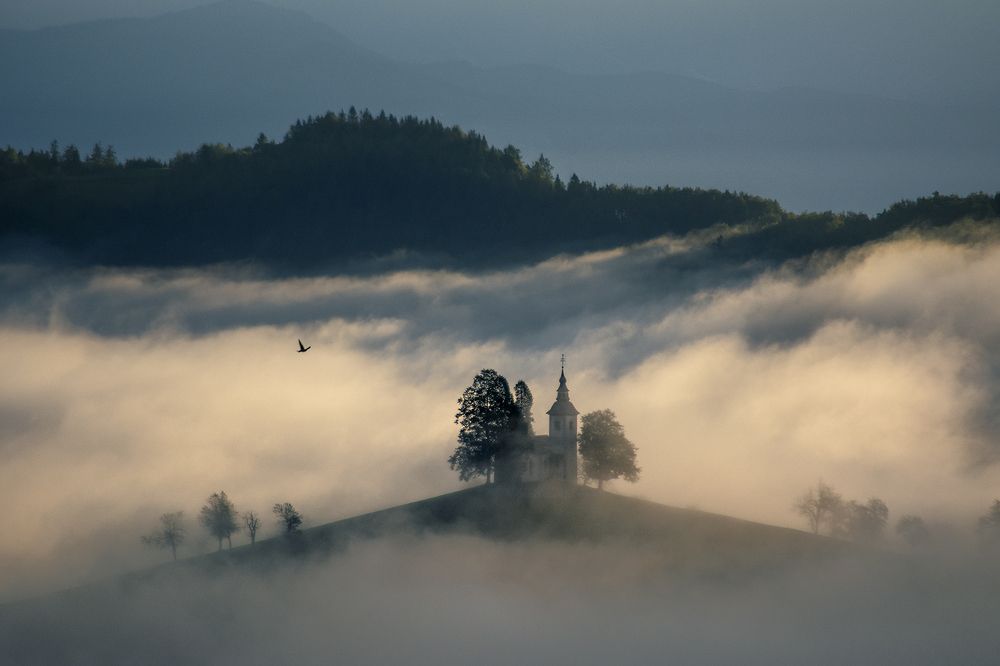 Photograph by Renee Johansson