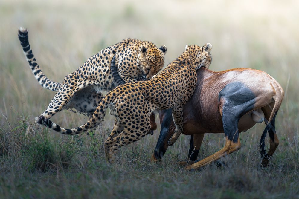 Photograph by Ahmed Sobhi