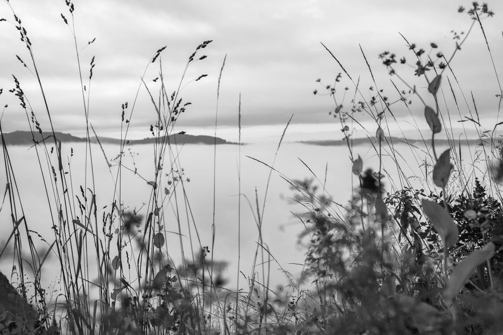 Photograph by Екатерина Осколкова