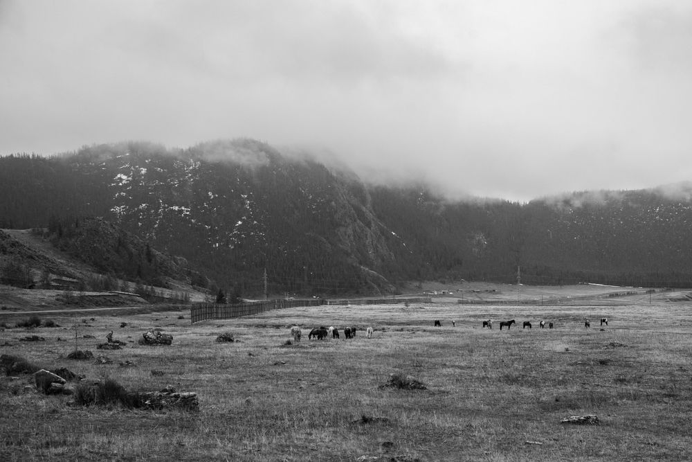 Photograph by Екатерина Осколкова