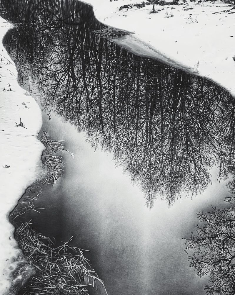 Photograph by Титаренко Людмила