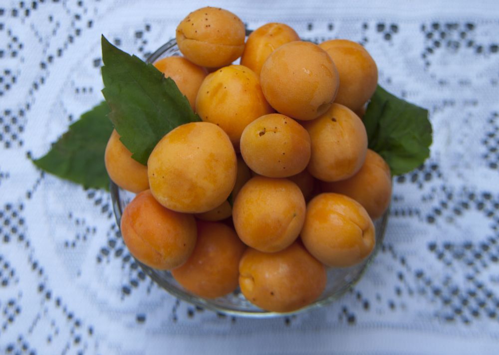 Photograph by Tatevik Tananyan