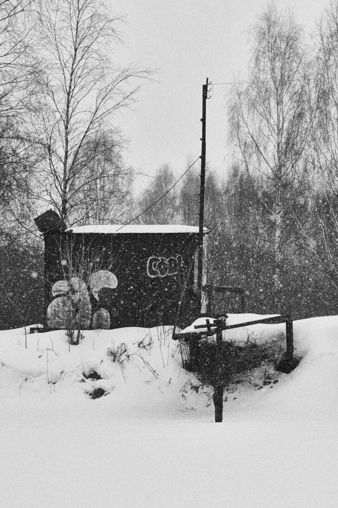 Фотография автора Александр Жданов