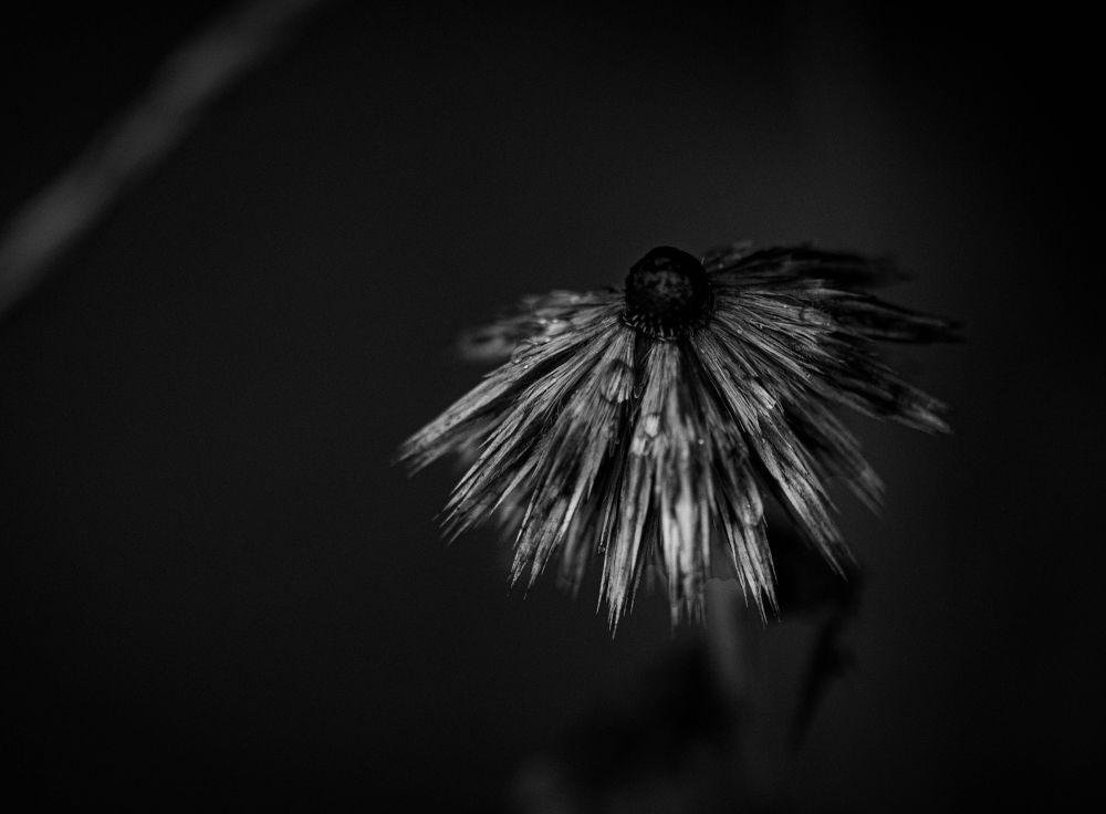 Photograph by Николай Xxxxxx