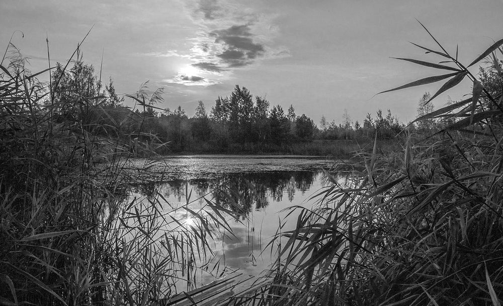 Фотография автора Борис Журавлёв