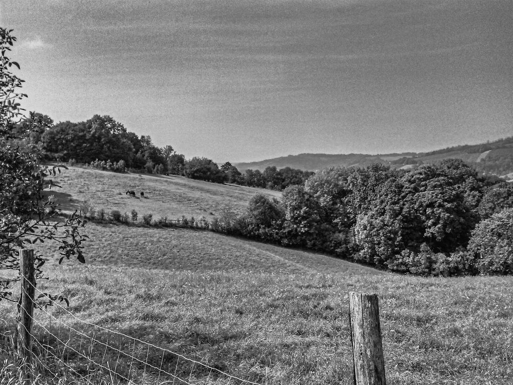 Округ Тюльн (Австрия)