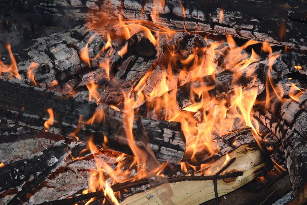 Photograph by Людмила Воропаева