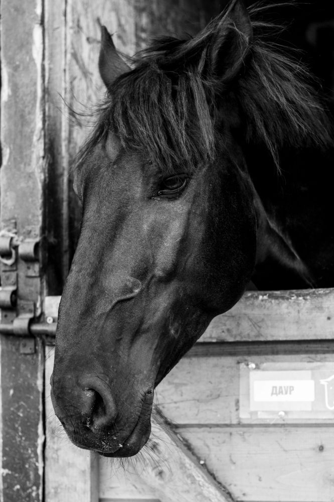 Фотография автора Anyutkin Анна