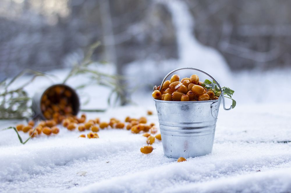 Photograph by Татьяна Шахматова