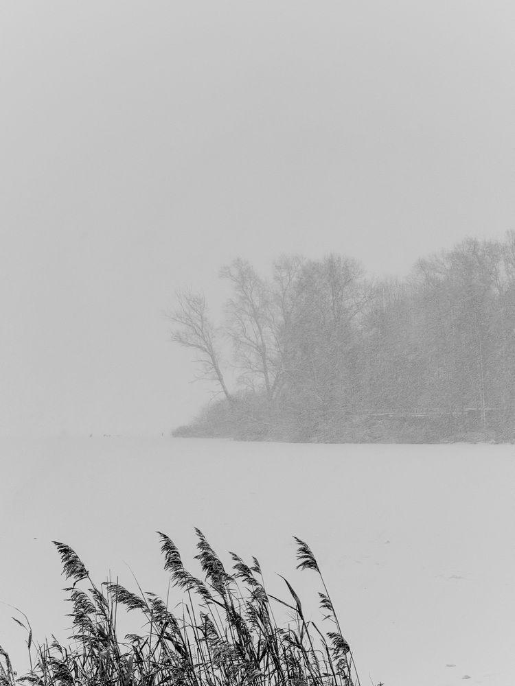 Фотография автора Наталья Попова