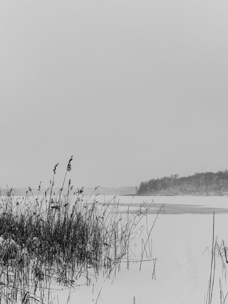 Фотография автора Наталья Попова