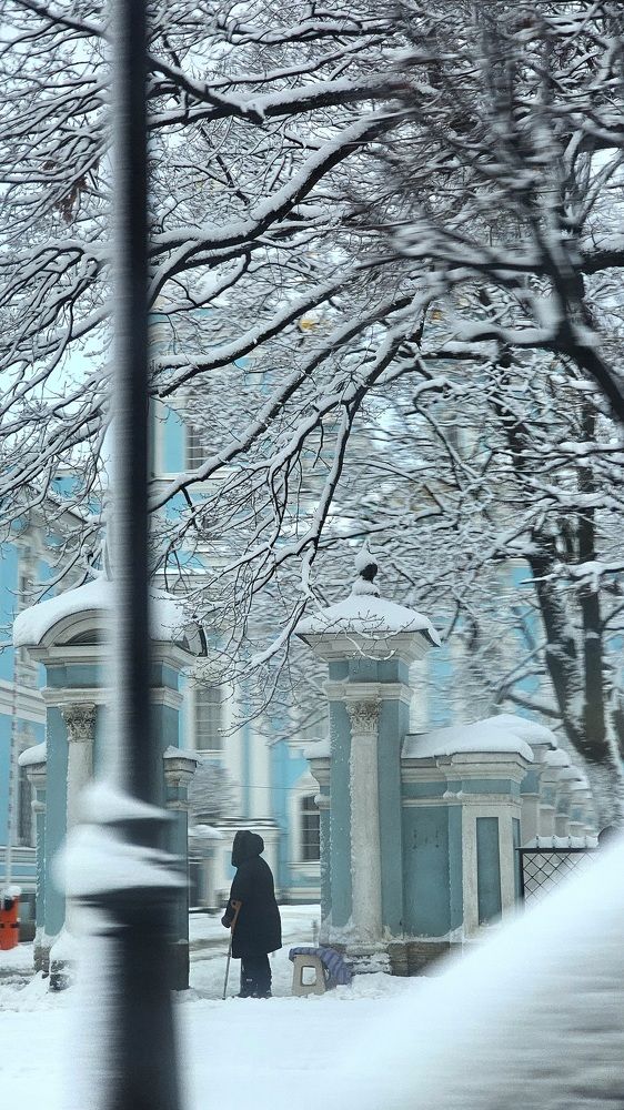 Фотография автора Наталья Законова