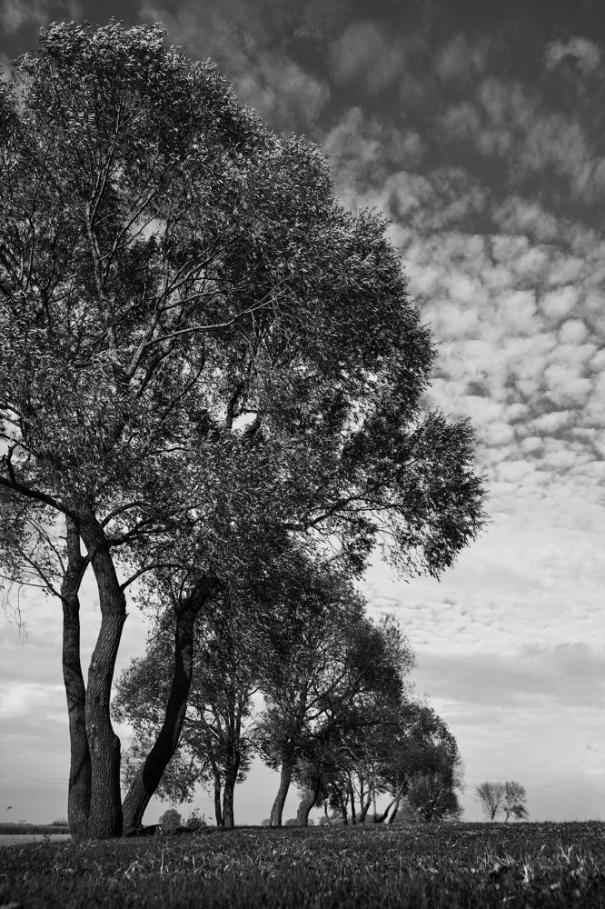 Photograph by Виктория Колышева