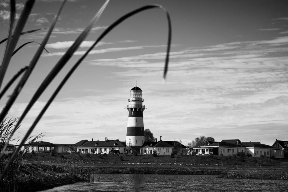 Photograph by Виктория Колышева