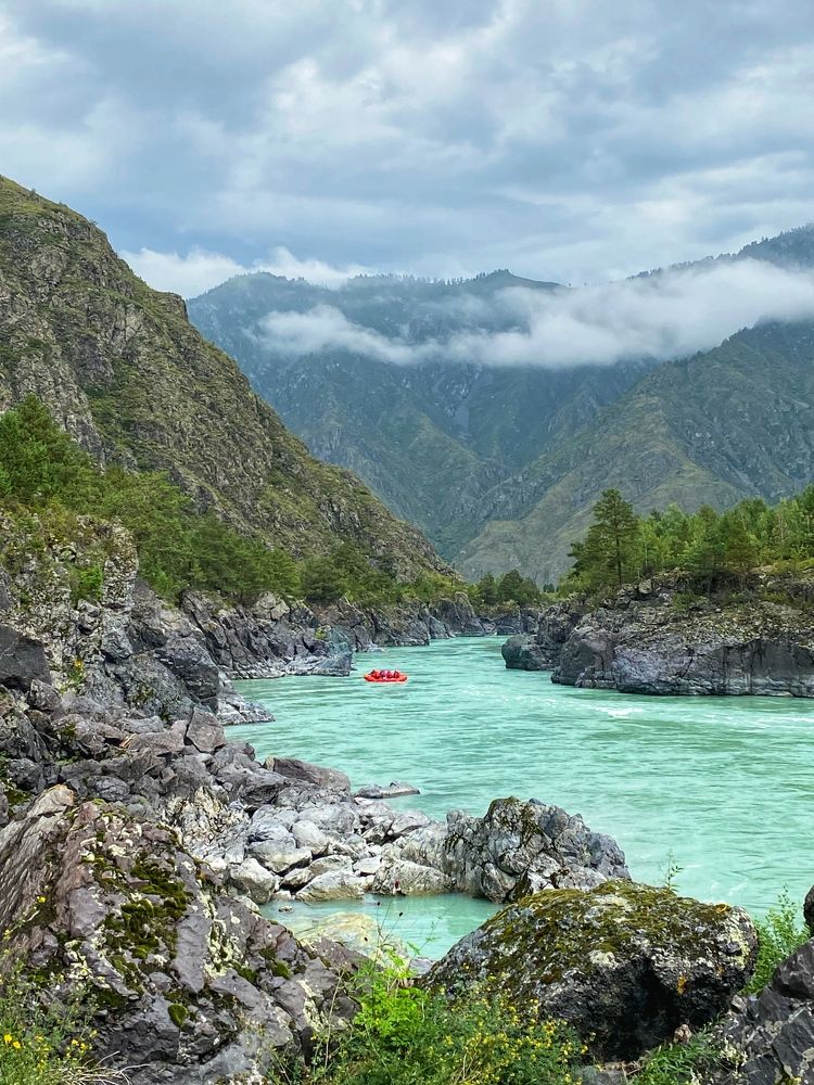 Photograph by Мария Поливода