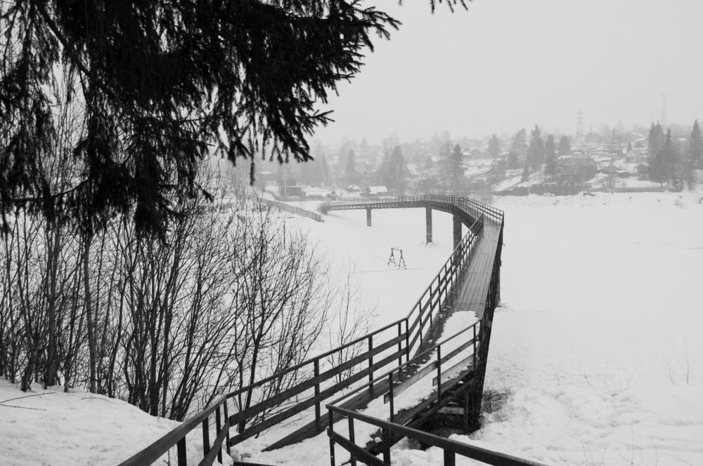 Фотография автора Мария Михайлова