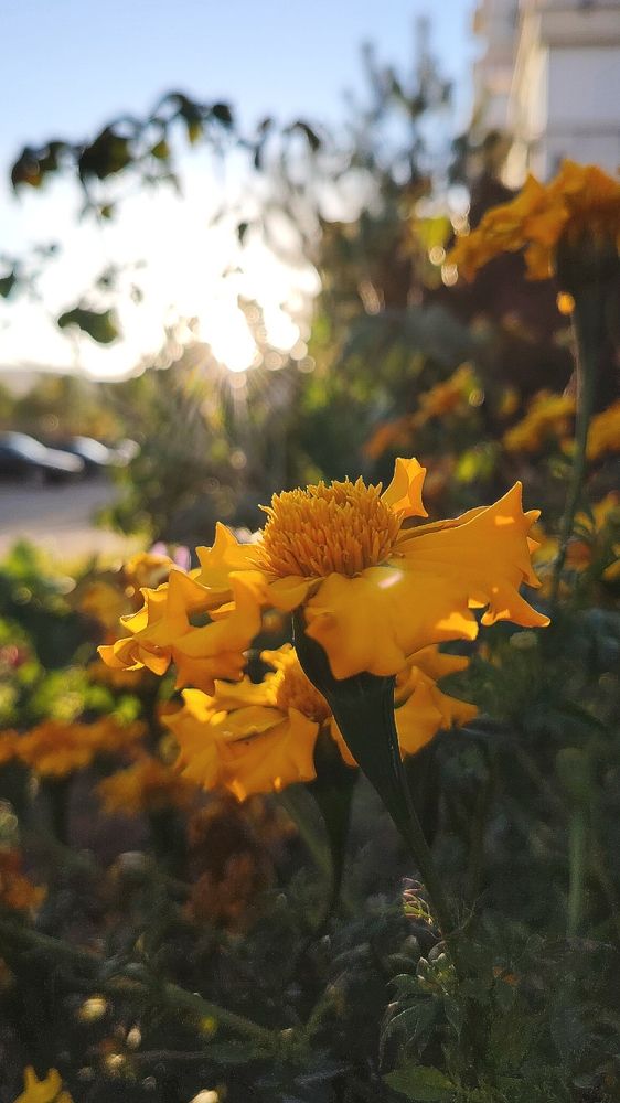 Фотография автора Анна Морозова