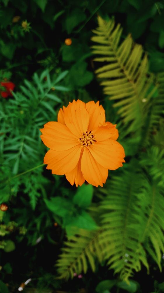 Фотография автора Анна Морозова