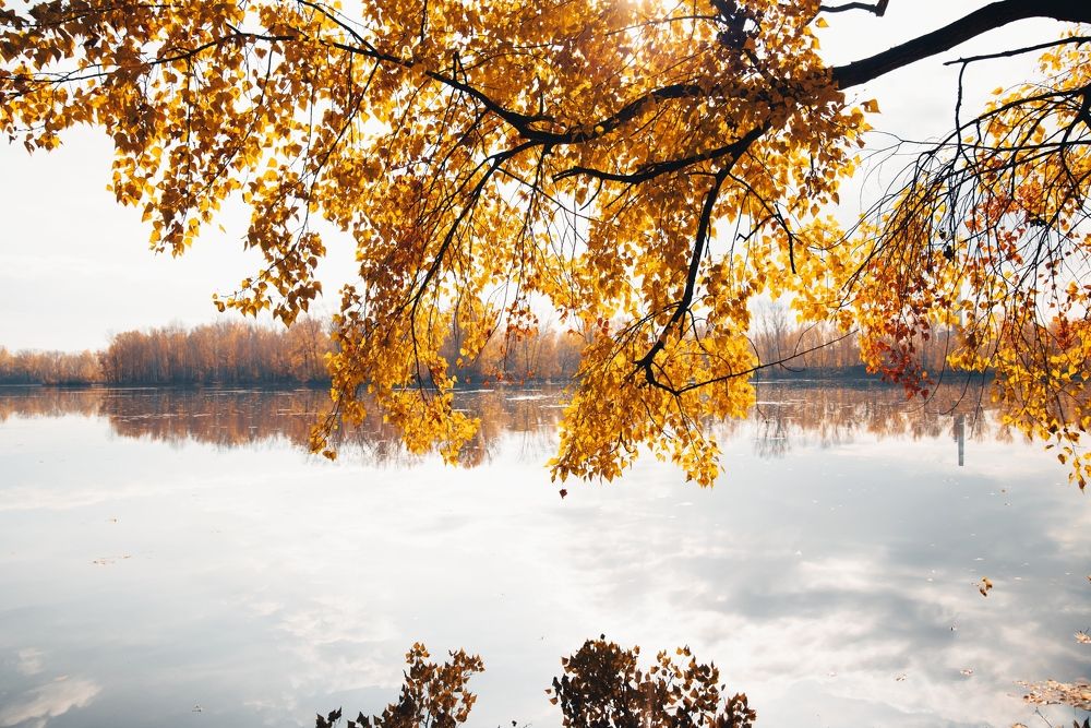 Photograph by Наталья Сорокина