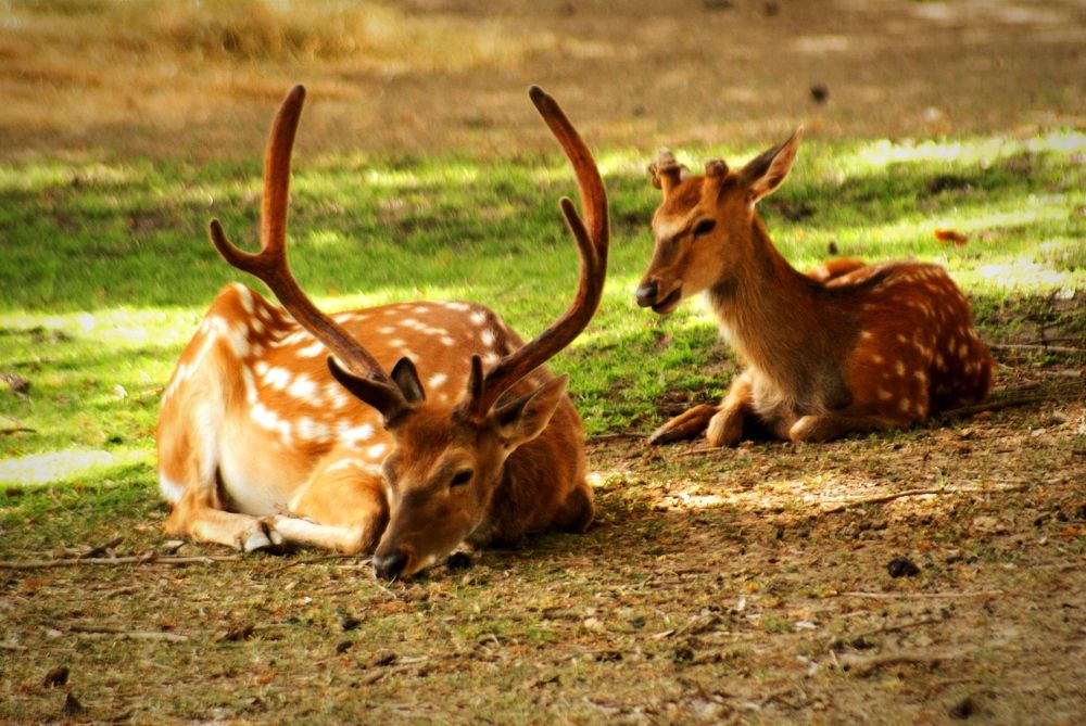Photograph by Владимир Ким