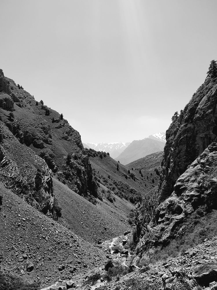 Photograph by Кристина Кердянова
