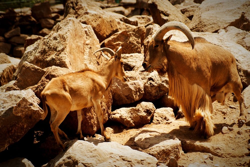 Photograph by Владимир Ким